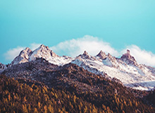 探索娱乐新境界，尽在九游娱乐