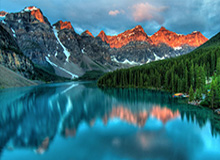 探索娱乐新境界，尽在九游娱乐